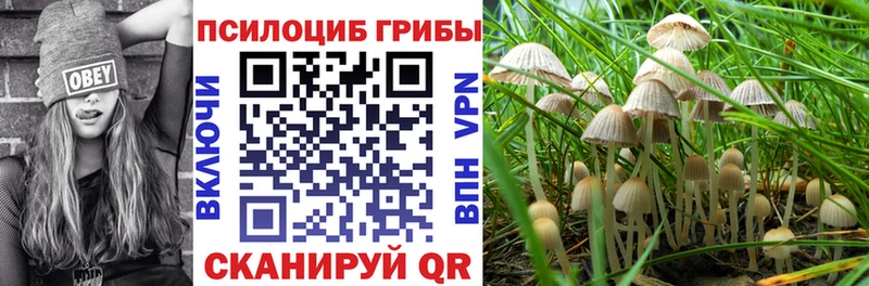 ОМГ ОМГ tor Карабаш Псилоцибиновые грибы Cubensis