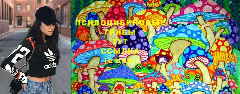 Галлюциногенные грибы Magic Shrooms  Карабаш 